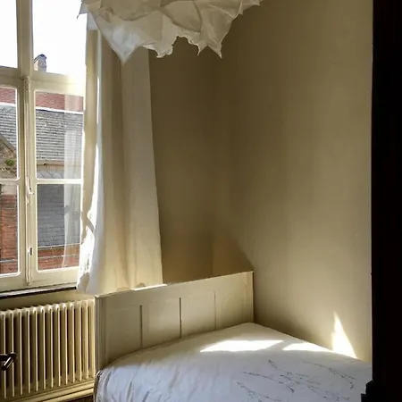 Bed & Breakfast Theresa A 25 Min De Pairi Daiza 3*