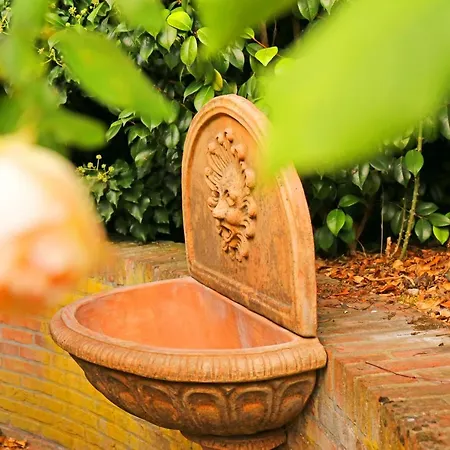 Theresa A 25 Min De Pairi Daiza Bed & Breakfast 3*