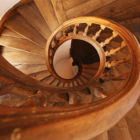 Theresa A 25 Min De Pairi Daiza Soignies