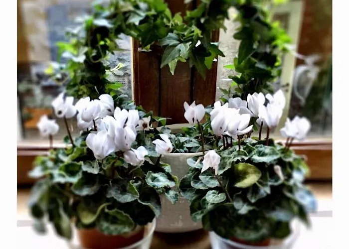 Theresa A 25 Min De Pairi Daiza Nocleg ze śniadaniem